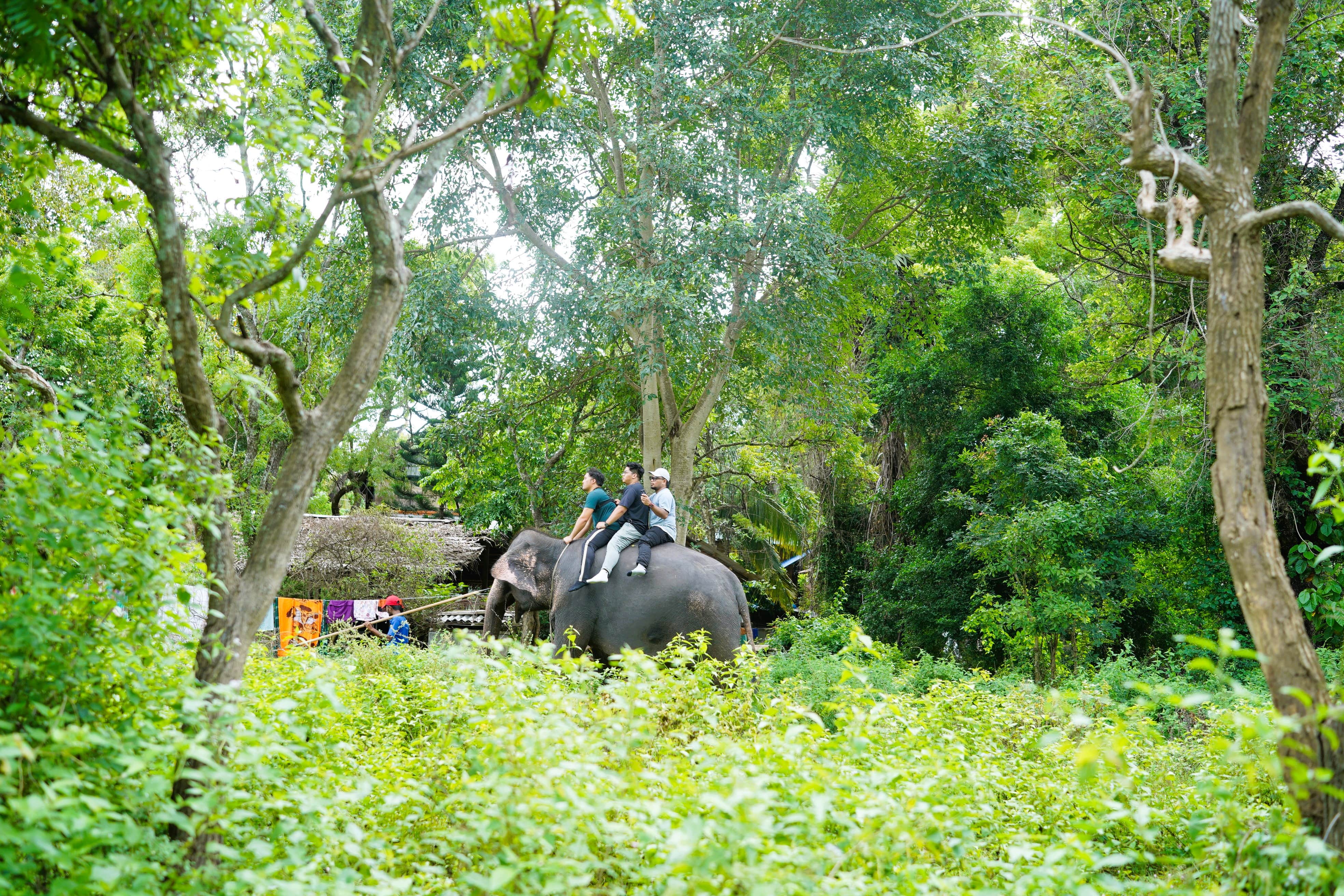 Destination Image 12